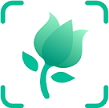 PictureThis icon