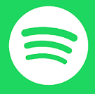 Spotify Lite icon