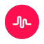 TikTok icon