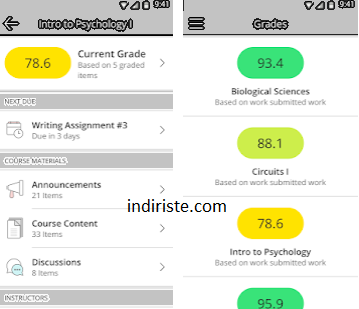 Blackboard indir