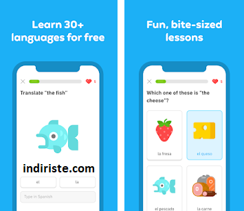 Duolingo: Learn Languages Free indir