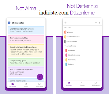 OneNote Mobile indir