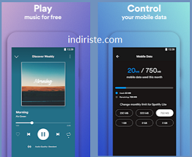 Spotify Lite indir