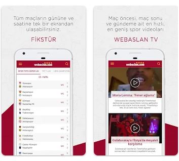 Webaslan indir