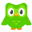 Duolingo icon