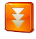 FlashGet icon