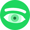 Spytify icon