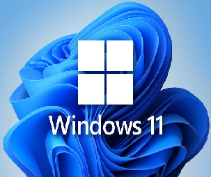 Windows 11 icon