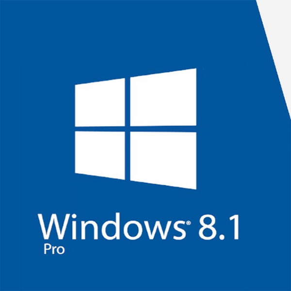 Windows 8.1 icon