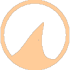 ZHPDiag icon