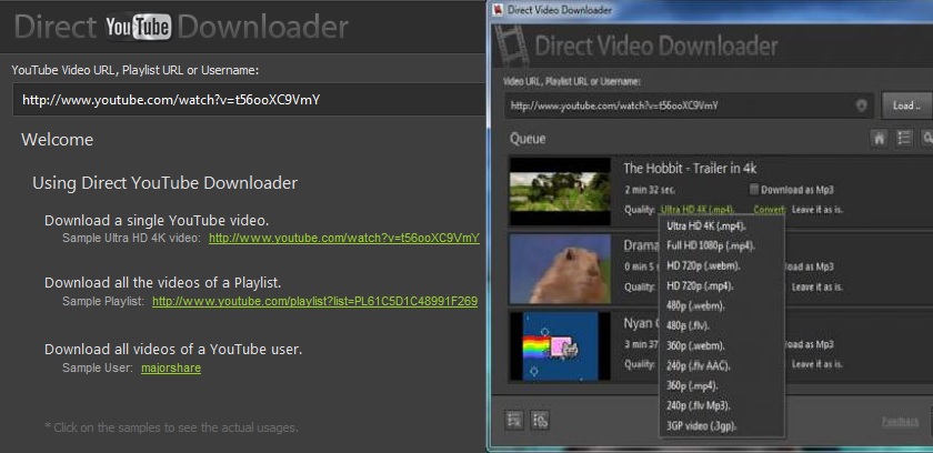 Direct Video Downloader indir